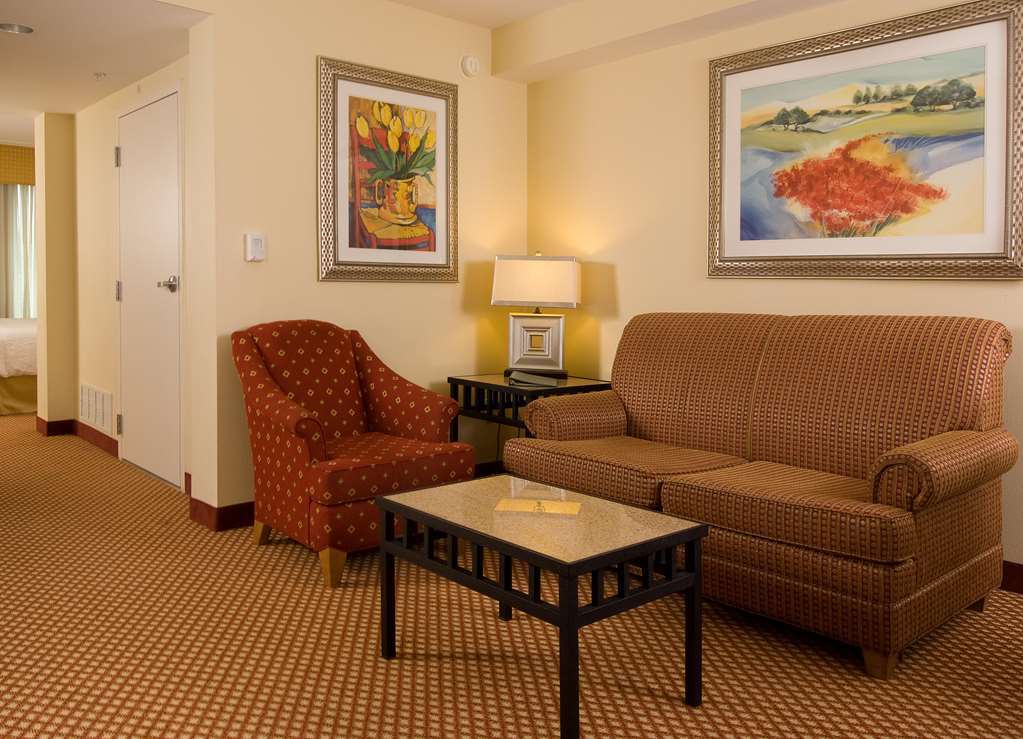 Hilton Garden Inn Atlanta Airport/Millenium Center חדר תמונה